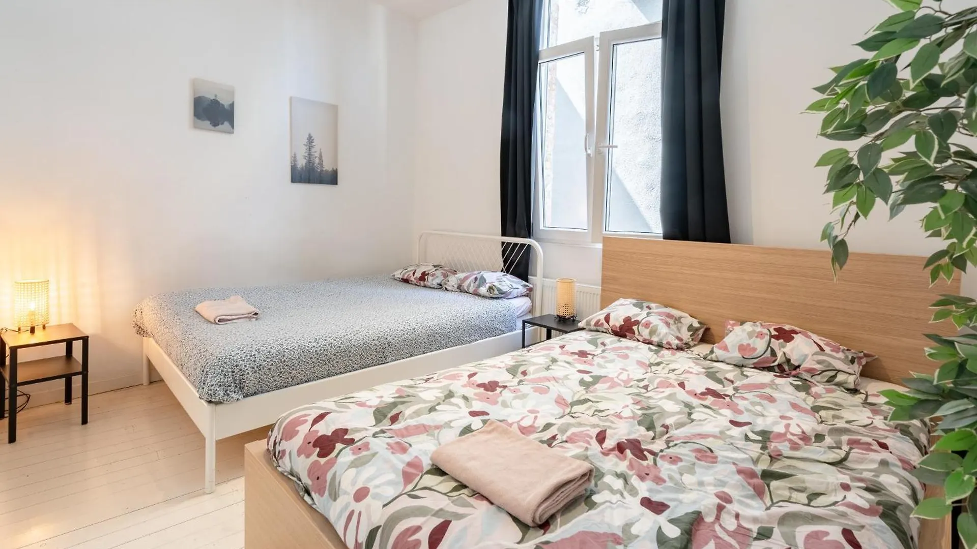 Beautiful Cozy Apartments In The Heart Of Antwerpen Belgium